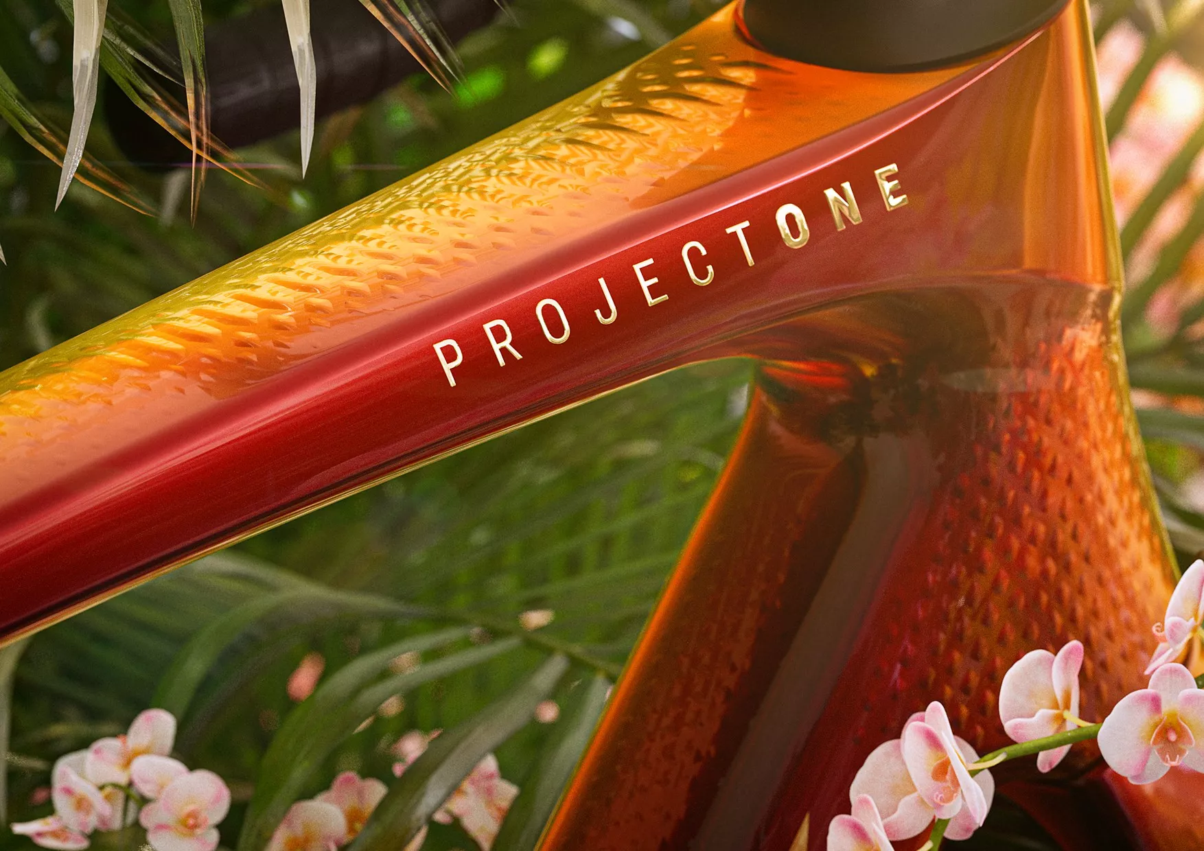 Jouw droom. Ons vak.